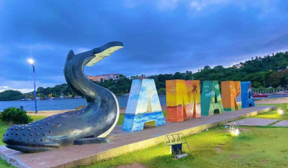 En Samaná proponen la industrialización del coco