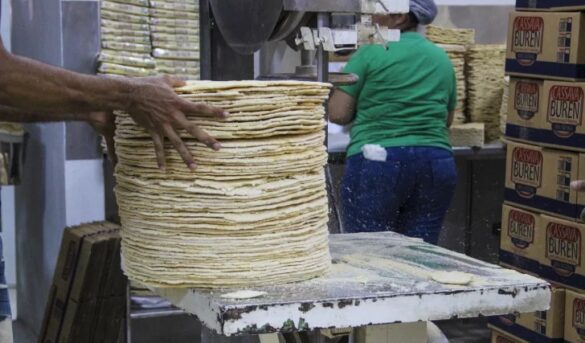 Casabe. El pan de los dioses es un atractivo turístico de Monción