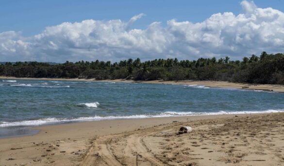 Comenzará construcción del primer hotel en Punta Bergantín