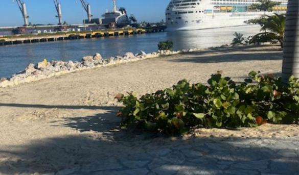 Puerto multiuso Taino Bay, Pto. Pta. observa gran movimiento de cargas y pasajeros