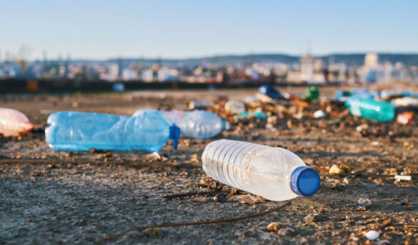 Destacan la importancia de la eliminación del plástico para tener un turismo sostenible