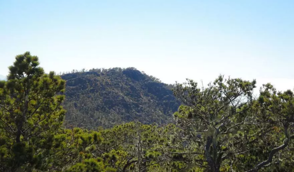 Pico Duarte: Turismo de montaña en el paraíso tropical