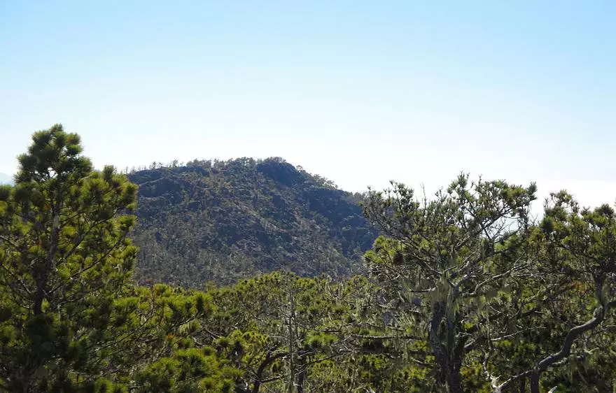 Pico Duarte: Turismo de montaña en el paraíso tropical