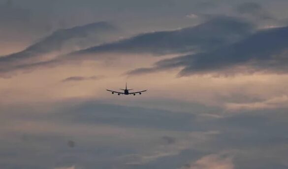 Cómo obtener su Real ID antes de la fecha límite de mayo de 2025