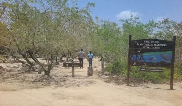 Ve Cibao Atlántico es el pulmón económico a desarrollar Línea Noroeste