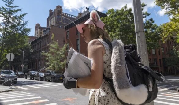 Nueva York contada por sus gatos, nueva oferta turística en la Gran Manzana