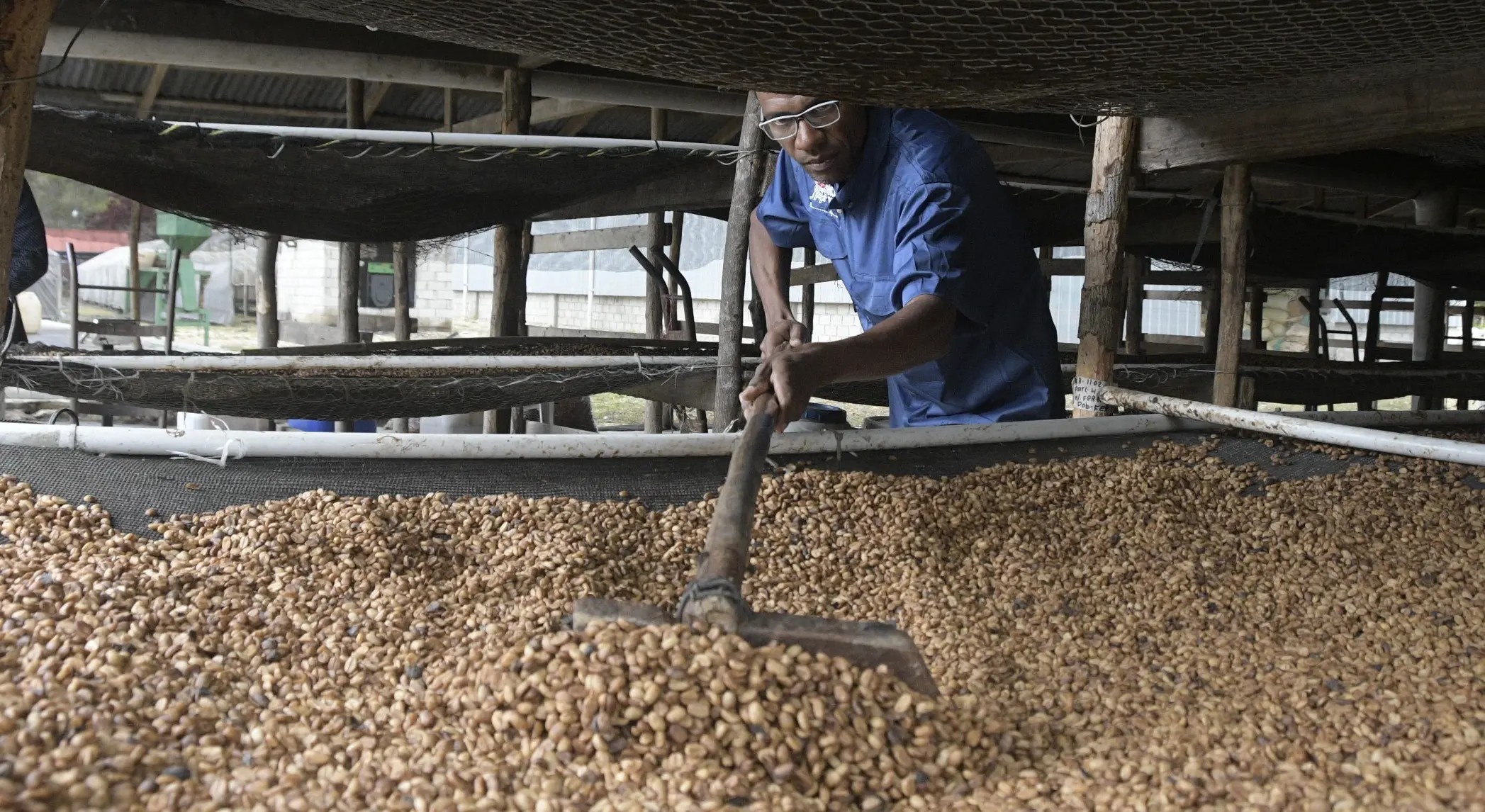 Realizarán primer «Congreso Internacional del Café» en Polo, Barahona