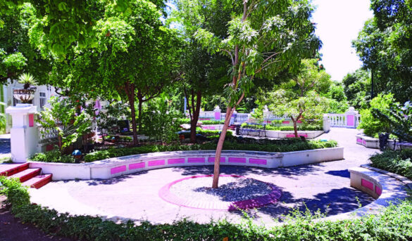 Santo Domingo: El Parque Rosado: un “vergel” en la Ciudad Colonial