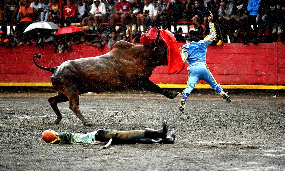 Corrida de toros, una pasión cultural que perdura en El Seibo