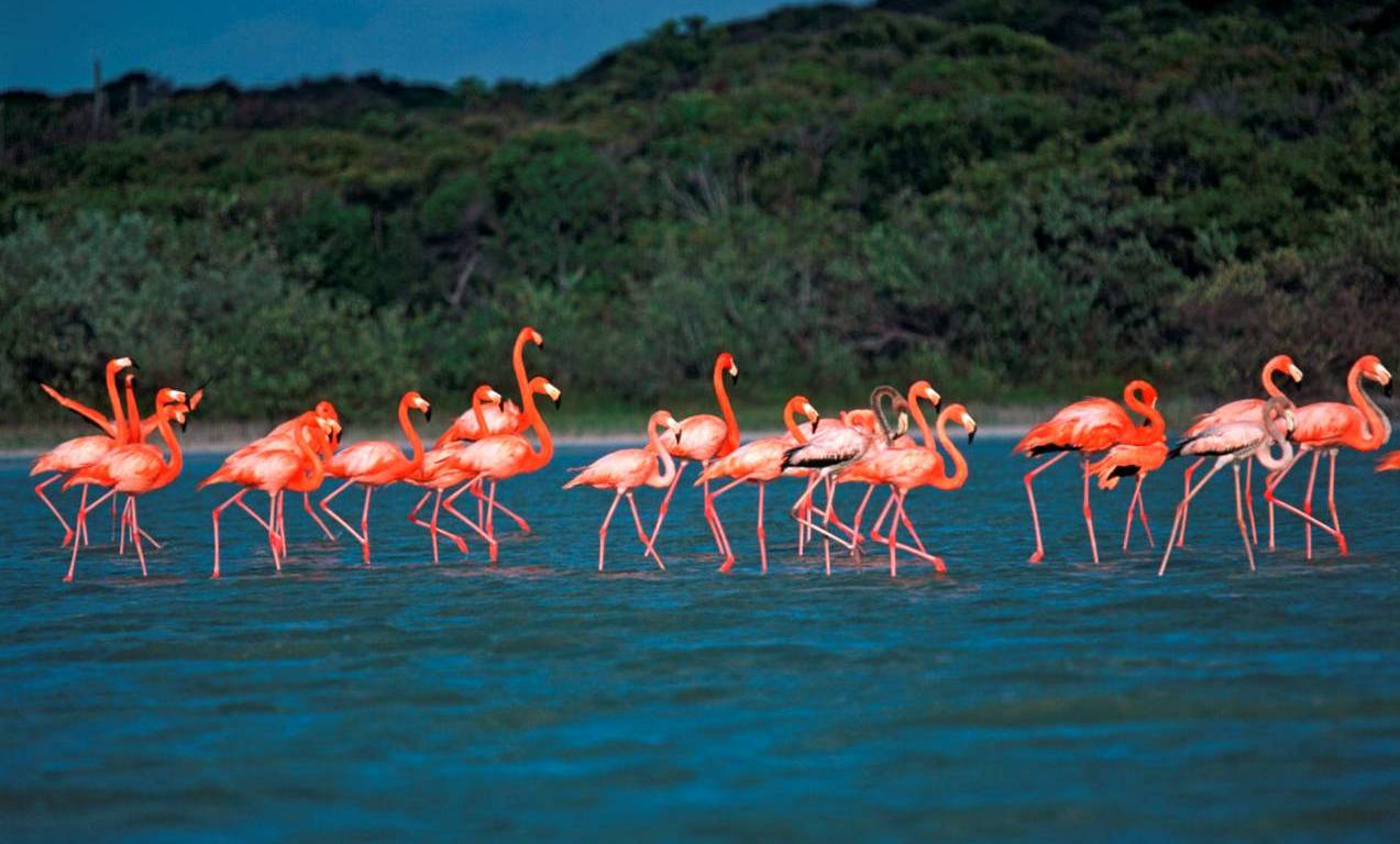 Laguna de Oviedo un mundo marino esperando por ti ¡Descubre!