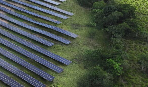 Enertur y financiamiento para parque solar en República Dominicana