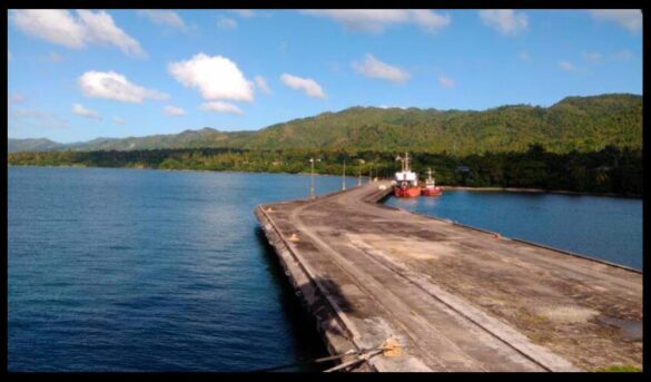 Puerto Samaná espera licencia