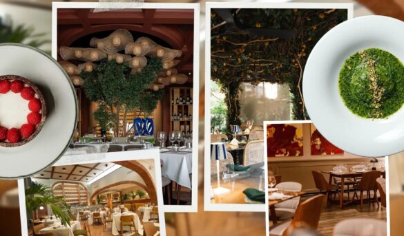 Restaurantes nuevos: Descubre lo mejor de la gastronomía local