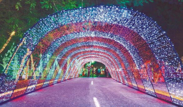 Un paseo por la Navidad en Santo Domingo