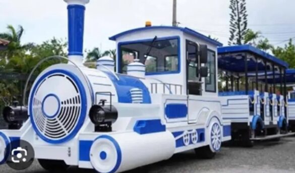 Conflicto por tren alejaría otra vez los cruceros de PP