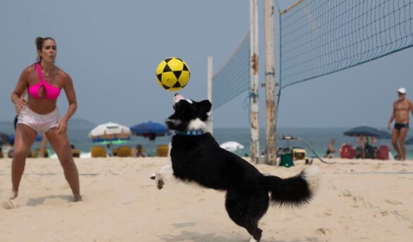 Viajar a Brasil: cuáles son las vacunas esenciales y las claves de prevención