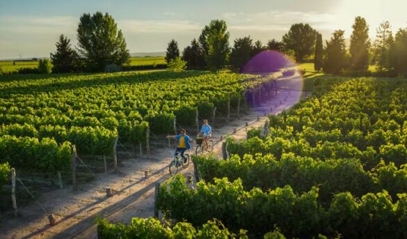 El precio prevalece sobre la sostenibilidad en los viajes, revela informe del WTTC