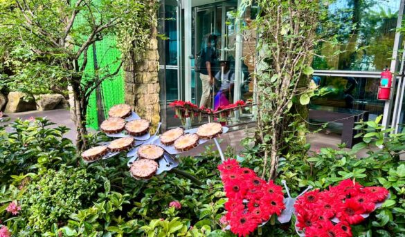 Aeropuertos que son destinos en sí mismos y debería conocer