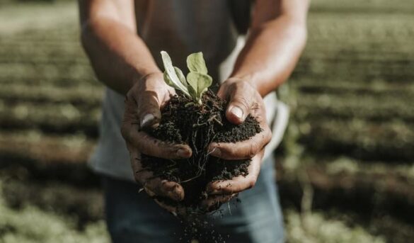 Turismo regenerativo y mujeres viajeras en solitario, tendencias en 2025