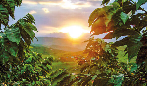 Colombia lidera crecimiento en el turismo internacional