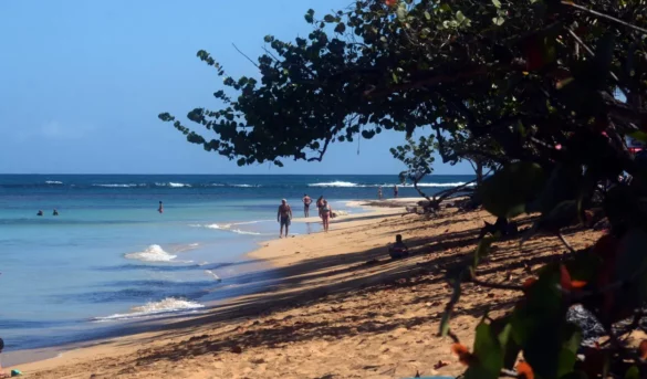 Playa Punta Popy: un paraíso de arena amarilla y aguas turquesas en Samaná