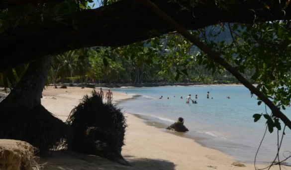 El encanto de Playa Bonita: naturaleza y aventura en un destino único en Las Terrenas
