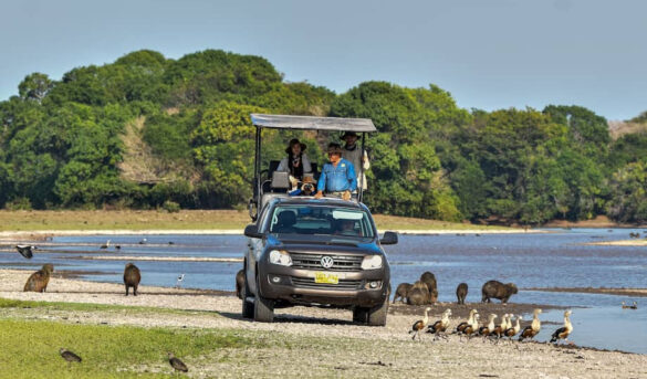 Colombia potencia su turismo con una nueva red impulsada por cooperación suiza
