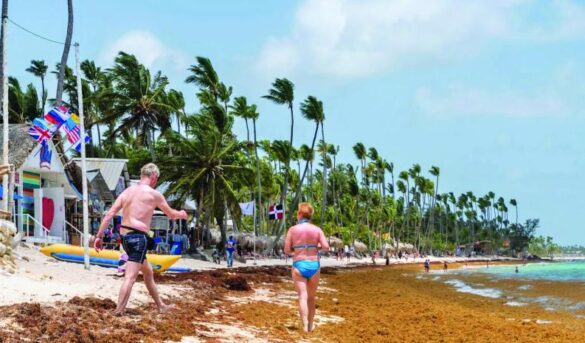 El sargazo: un enemigo que nos arropa y amenaza