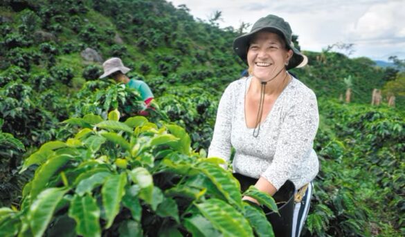 Colombia impulsa el turismo con rutas cafeteras y récord histórico de visitantesv