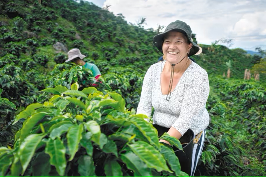 Colombia impulsa el turismo con rutas cafeteras y récord histórico de visitantesv