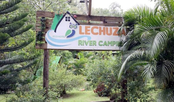 Un paraíso escondido en Los Cacaos: turismo sostenible desde el corazón de la montaña