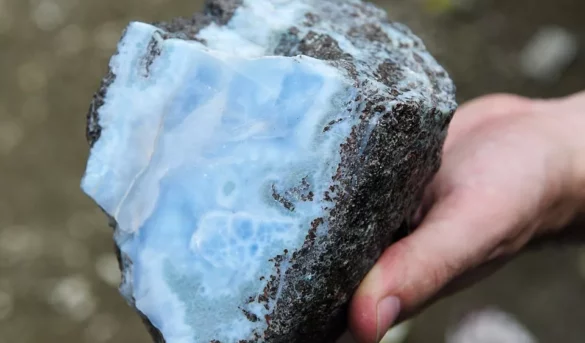 Larimar genera más de RD$800 millones en exportaciones en primeros seis meses del año