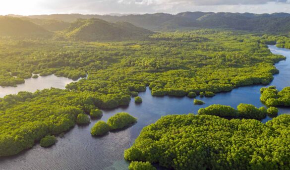 Brasilian Dream, el próximo buque de CroisiEurope en el Amazonas