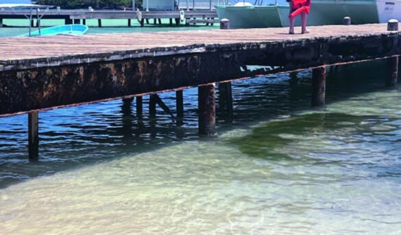 Denuncian deterioro muelle Cayo Levantado