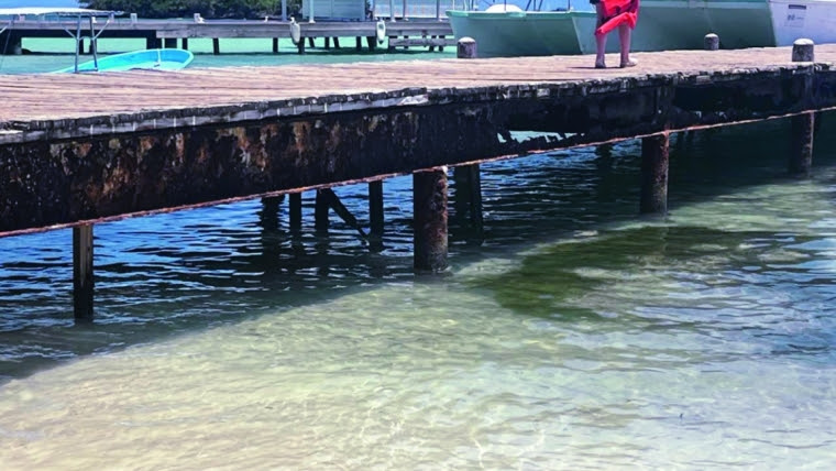 Denuncian deterioro muelle Cayo Levantado