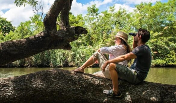 Turismo cubano hundido entre hoteles vacíos y la crisis del campo