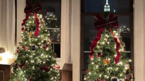 El Empire State se convirtió en la “punta” del árbol de Navidad de una pareja en Nueva York: se volvió viral
