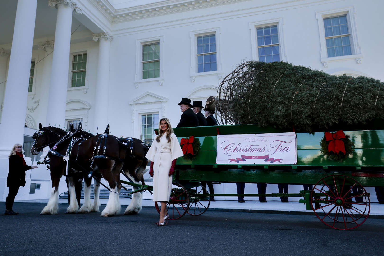 VIDEO | Melania Trump recibe el árbol que presidirá la Navidad en la Casa Blanca