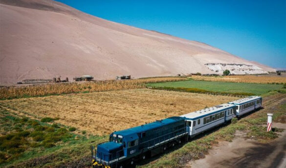 Trenes turísticos regresan este verano 2026: revisa las nuevas rutas y frecuencia de viajes