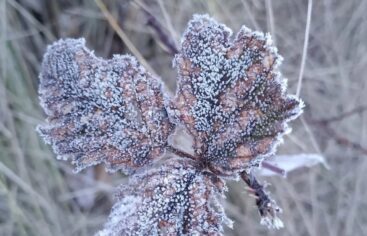 Valle Nuevo amanece cubierto de escarcha tras temperaturas bajo cero
