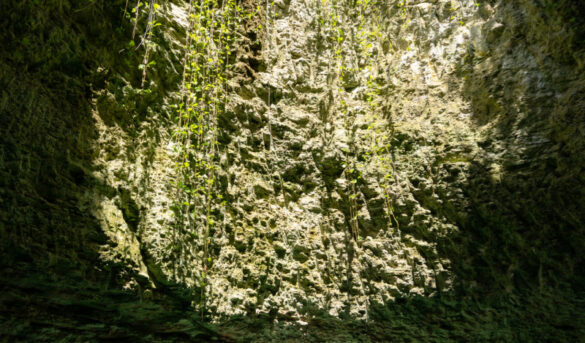 Río subterráneo: la nueva atracción de un parque que busca atraer a turistas