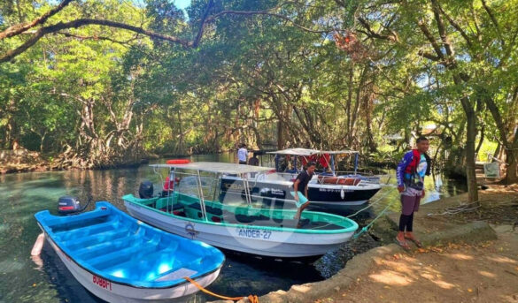 Laguna Gri-Gri: Mágico santuario que redefine el turismo ecológico en Costa Norte