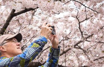 Las mejores actividades gratuitas en Nueva York este abril de 2026: arte, gastronomía y tradición