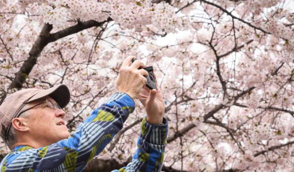 Las mejores actividades gratuitas en Nueva York este abril de 2026: arte, gastronomía y tradición
