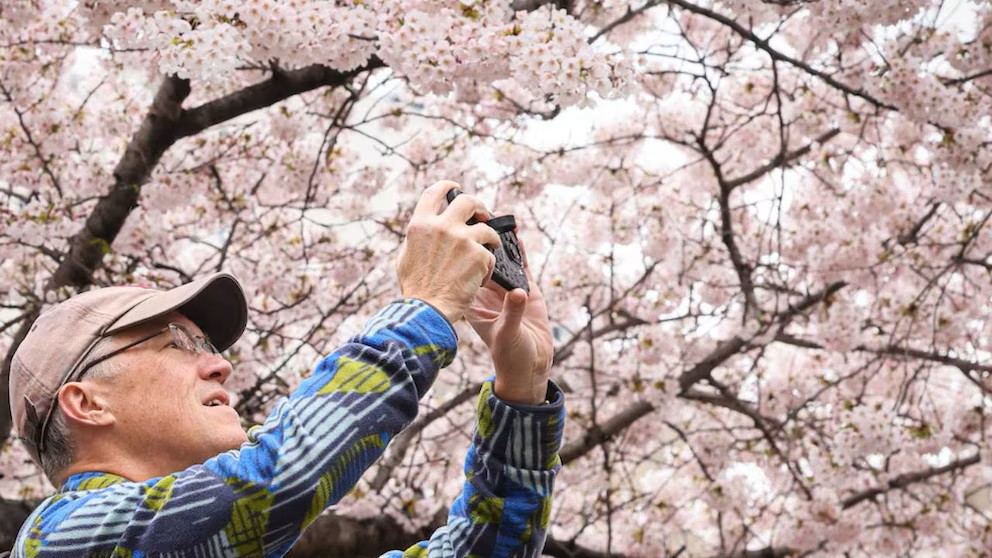 Las mejores actividades gratuitas en Nueva York este abril de 2026: arte, gastronomía y tradición