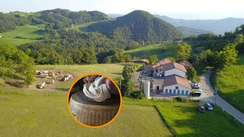 El pueblo de 30 habitantes que atrae a cientos de personas por su queso parmesano: está en Italia y guarda el secreto de una raza de vaca única