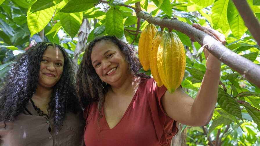 De Australia a Oriente Medio: las hermanas dominicanas que llevan el cacao del país al mundo