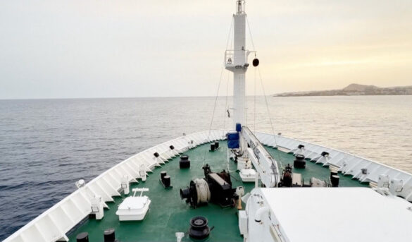 Pese a enfermedades a bordo, la demanda de cruceros se mantiene