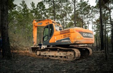 Reportan que incendio en Sierra de Bahoruco está controlado en un 99 %