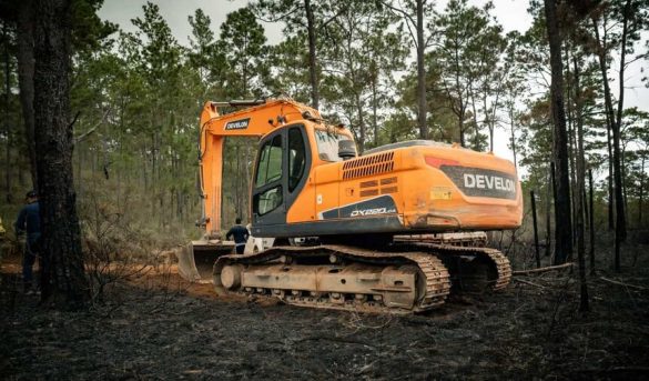 Reportan que incendio en Sierra de Bahoruco está controlado en un 99 %